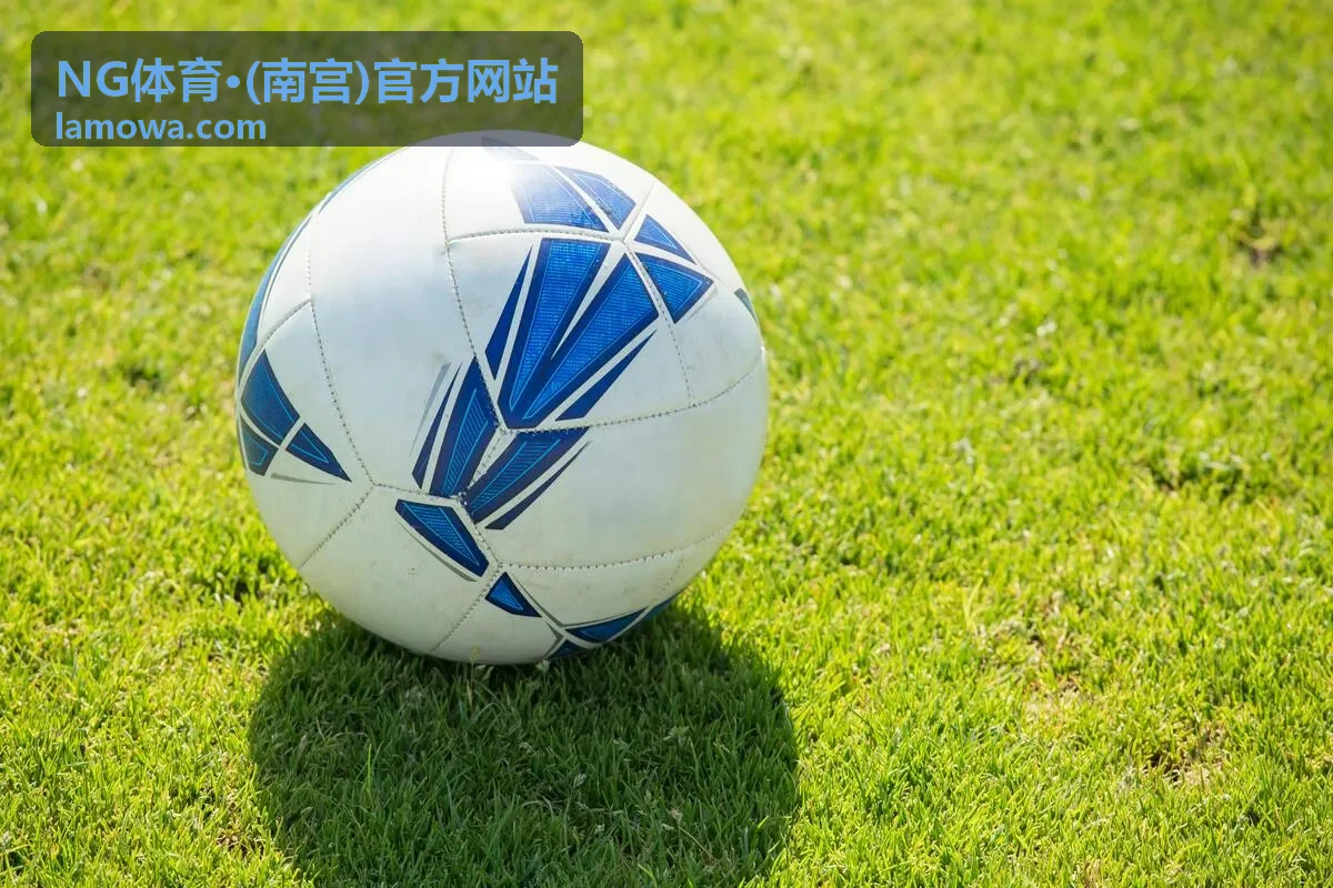 NG体育南宫会员专属服务栏目